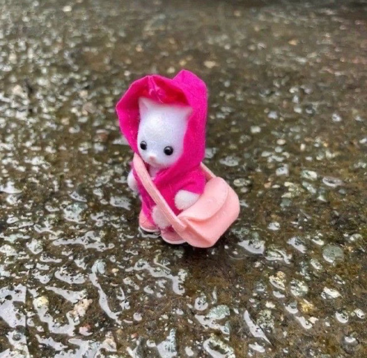 hey guys here i am in the rain with my coat and bag 🩷