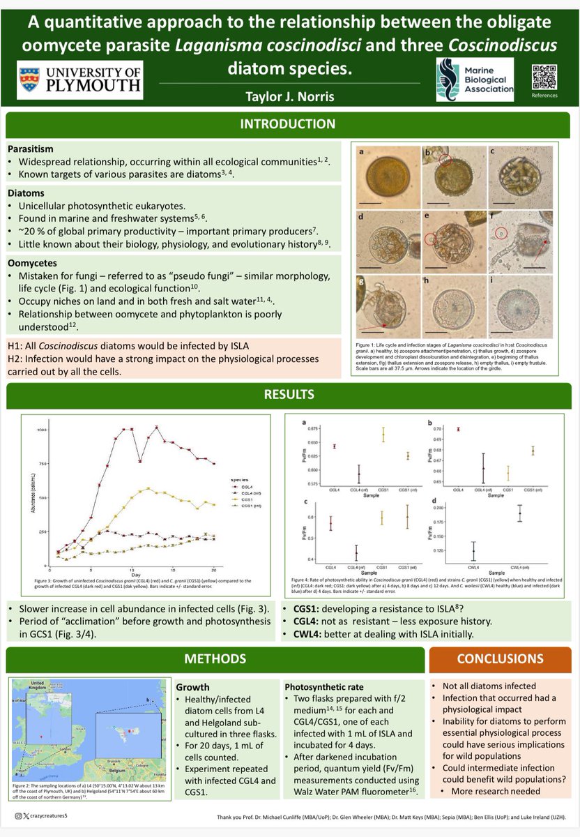 crazycreatures5's tweet photo. I am so happy that I could present my masters work at @Biology24Zurich! https://t.co/H84KttKv03