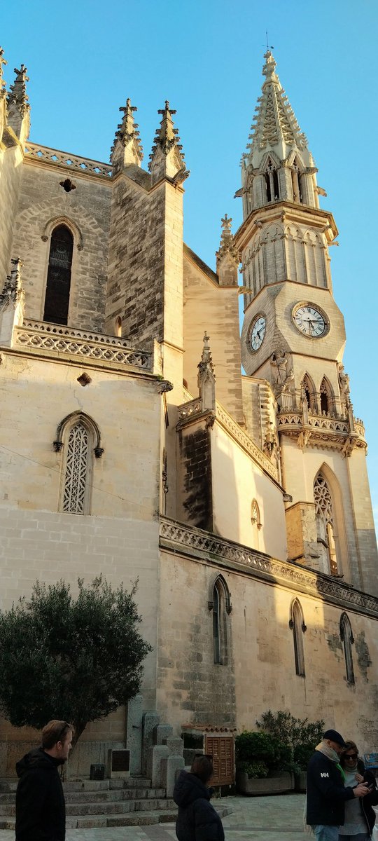 Parroquia ⛪ de Nuestra Señora de los Dolores de Manacor, Illes Baleares, España.
Latinos por el Mundo 🌍 
#travel #travelblogger #manacor
#latinos #turistiando #turistiandoando  
#latinosenespaña🇪🇸 #latinoseneuropa #colombianosenespaña #colombianosenelexterior #colombia