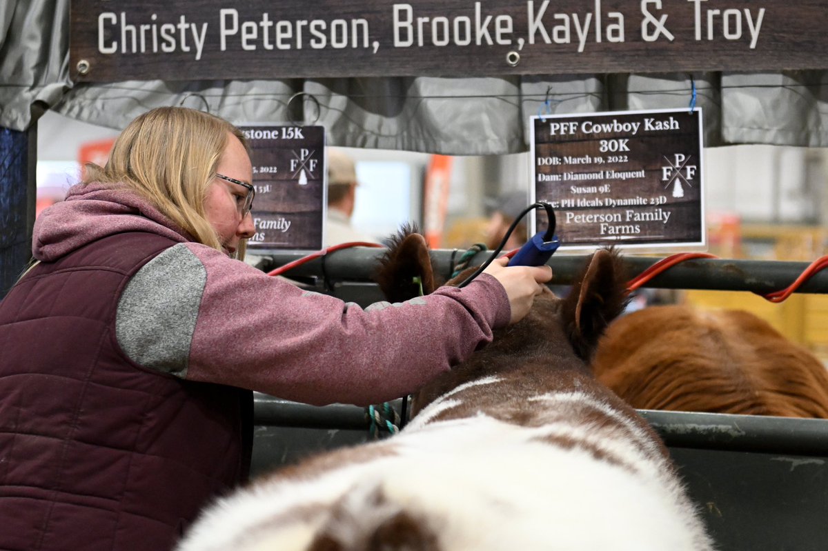 BullCongress tweet picture