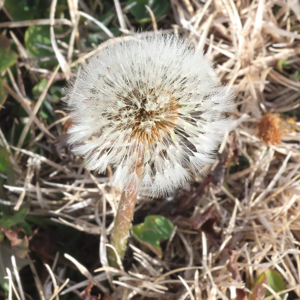 Life in support of life.