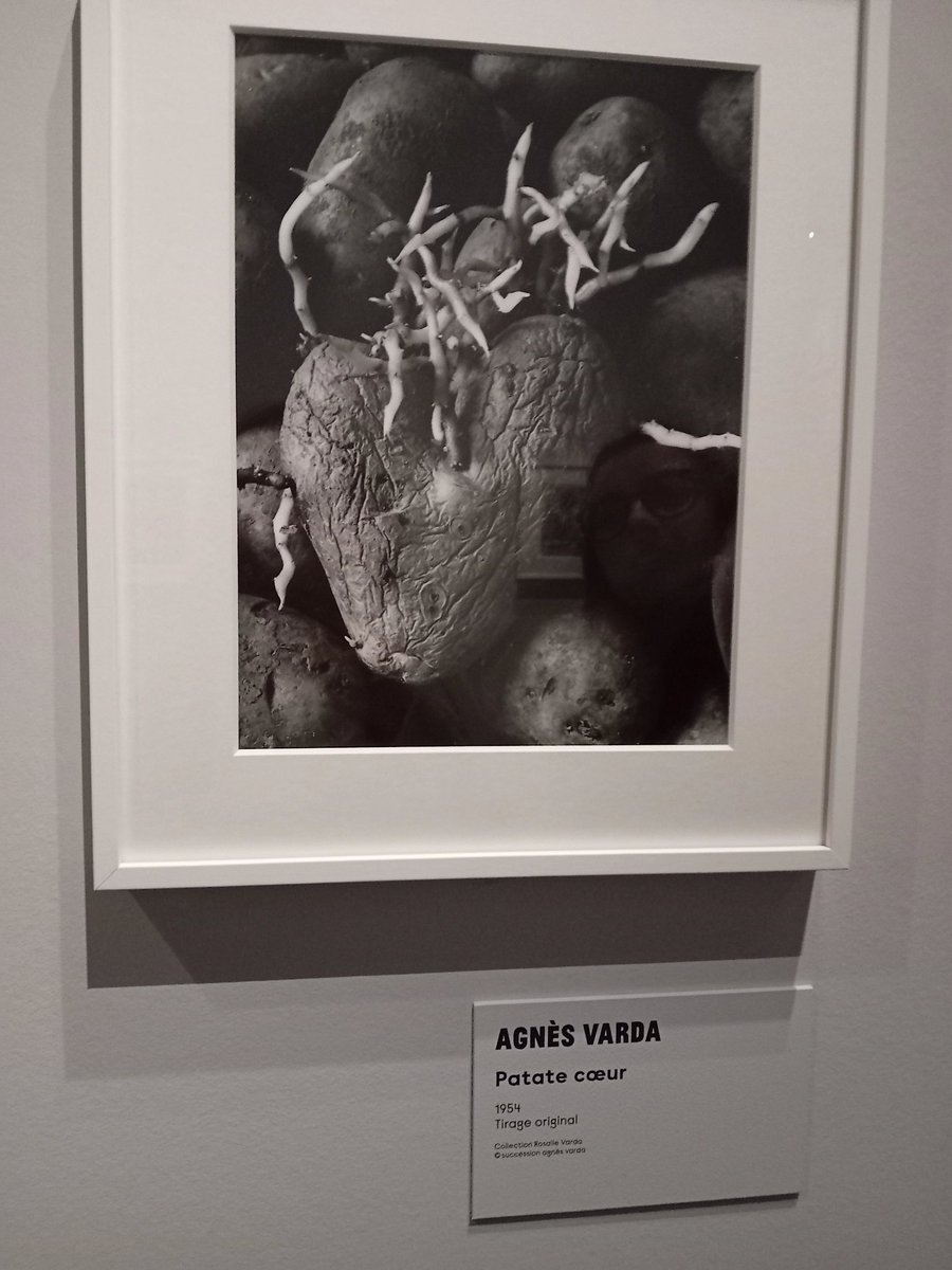 Artprof4's tweet photo. Merci à la @cinemathequefr pour sa superbe exposition  Viva Varda la plus plasticienne des cinéastes et la plus cinéaste des plasticiennes! https://t.co/Qn1K3FfMwP