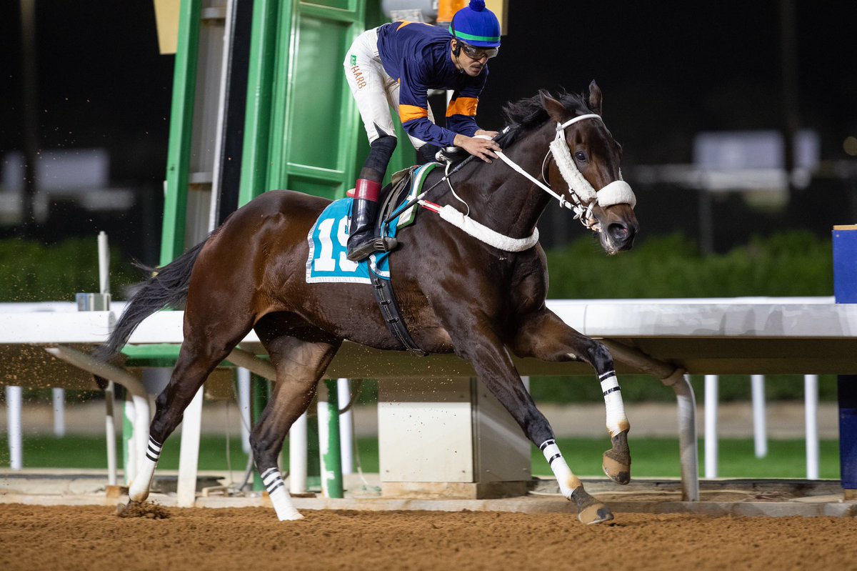 AlsayedRacing's tweet photo. 🥇 | 

"أهدل" ابن بانديني بمستوى وجاهزية وحضور رائع 
يبدأها أولاً وينهيها أولاً 🥇 
ماشاء الله تبارك الله 

#alsayedracing #ASR https://t.co/5b2AK7PbUq