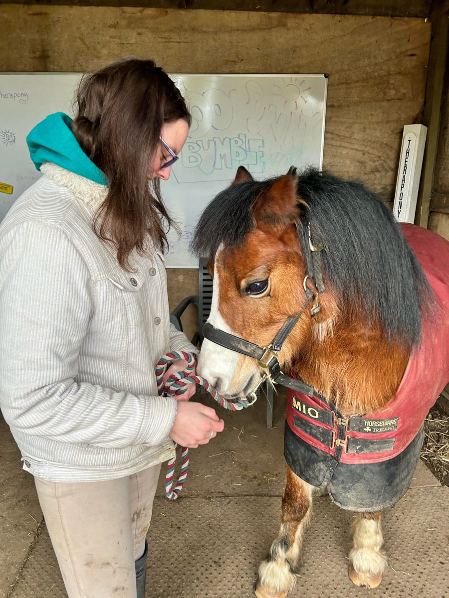 Therapony4's tweet photo. Today it was a pleasure to meet a young lady who needed to know she can conquer&amp;achieve!Teddy was his usual tactile charming funny self full of licks&amp;cuddles. Bumble wibbled his nose with scratches&amp;Boo charmed with her pretty face.  #wellbeing #therapony #equineinteraction https://t.co/bG6ywTRW5J