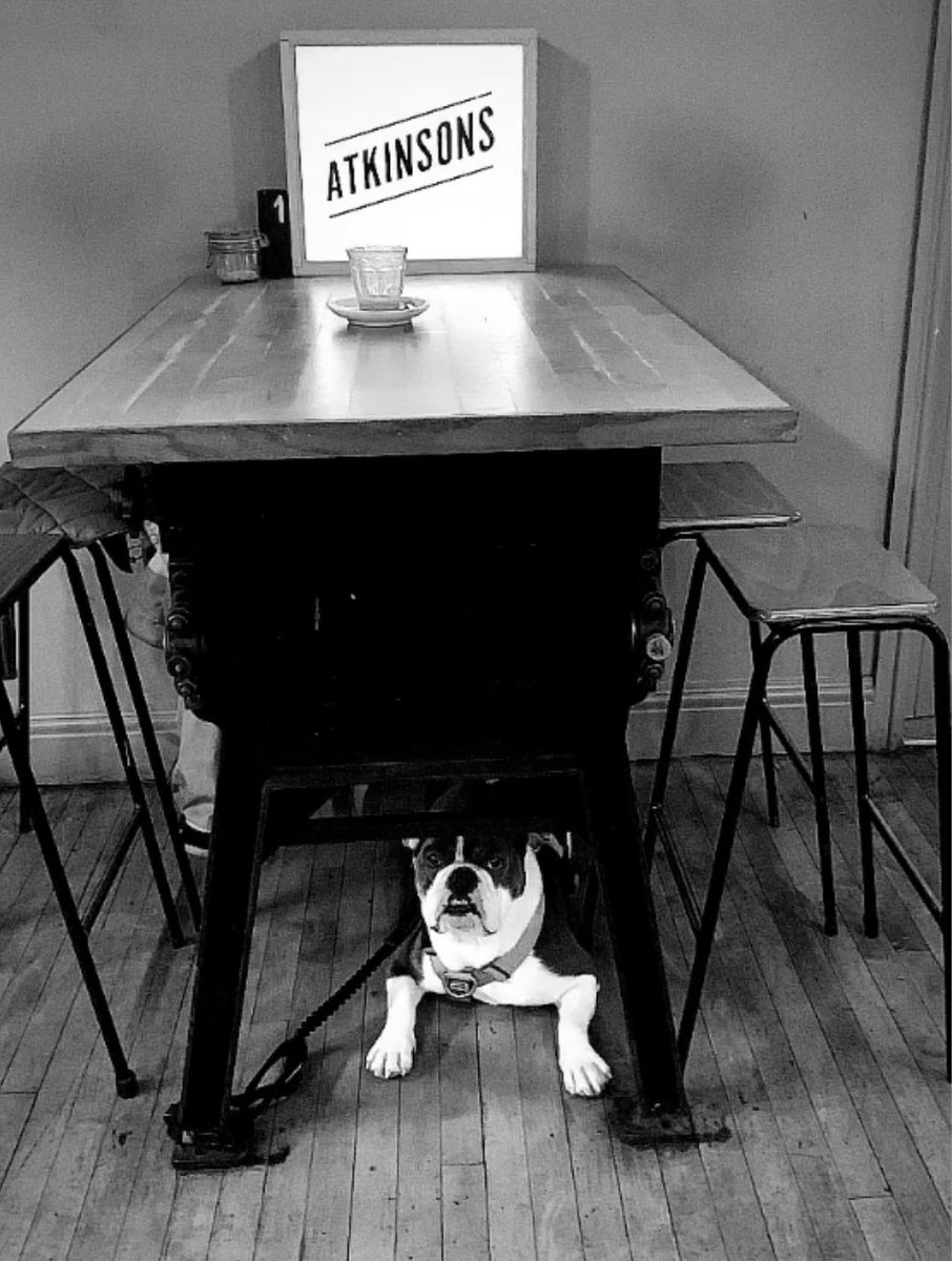Atkinsons (@coffeehopper) on Twitter photo Beware! At the Hall are #dogfriendly in fact we asked that the whole town marketed itself as #dogfriendly so look out for the #dogfriendly window stickers provided for us by <a href="/LancasterBID/">Lancaster BID</a> and bring your mutt in for a coffee, (well, you have the coffee they can drink water!) Beware! At the Hall are #dogfriendly in fact we asked that the whole town marketed itself as #dogfriendly so look out for the #dogfriendly window stickers provided for us by <a href="/LancasterBID/">Lancaster BID</a> and bring your mutt in for a coffee, (well, you have the coffee they can drink water!)