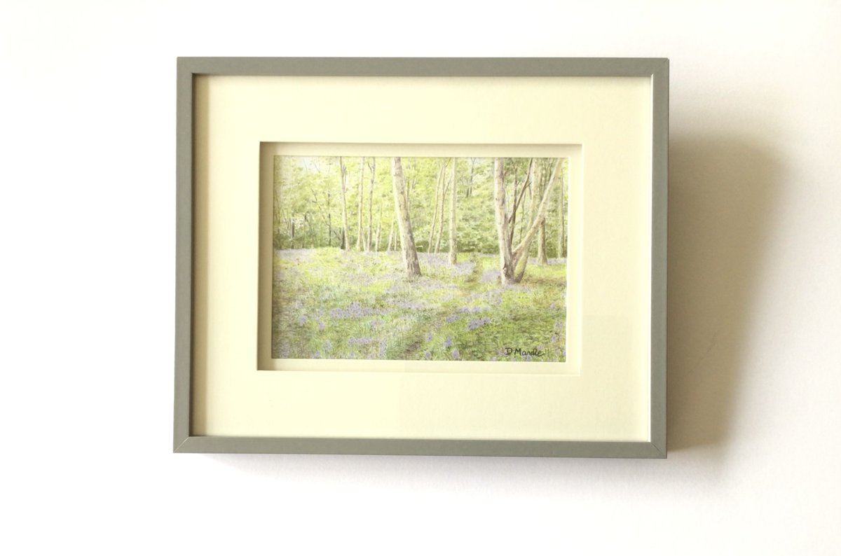 Excited to share the latest original artwork added to my #etsy shop: “Bluebell Woods” etsy.me/3HLF4bz #framed #pencildrawing #art #drawings #bluebells #woodlandart #landscapedrawing #dmdrawingsshop
