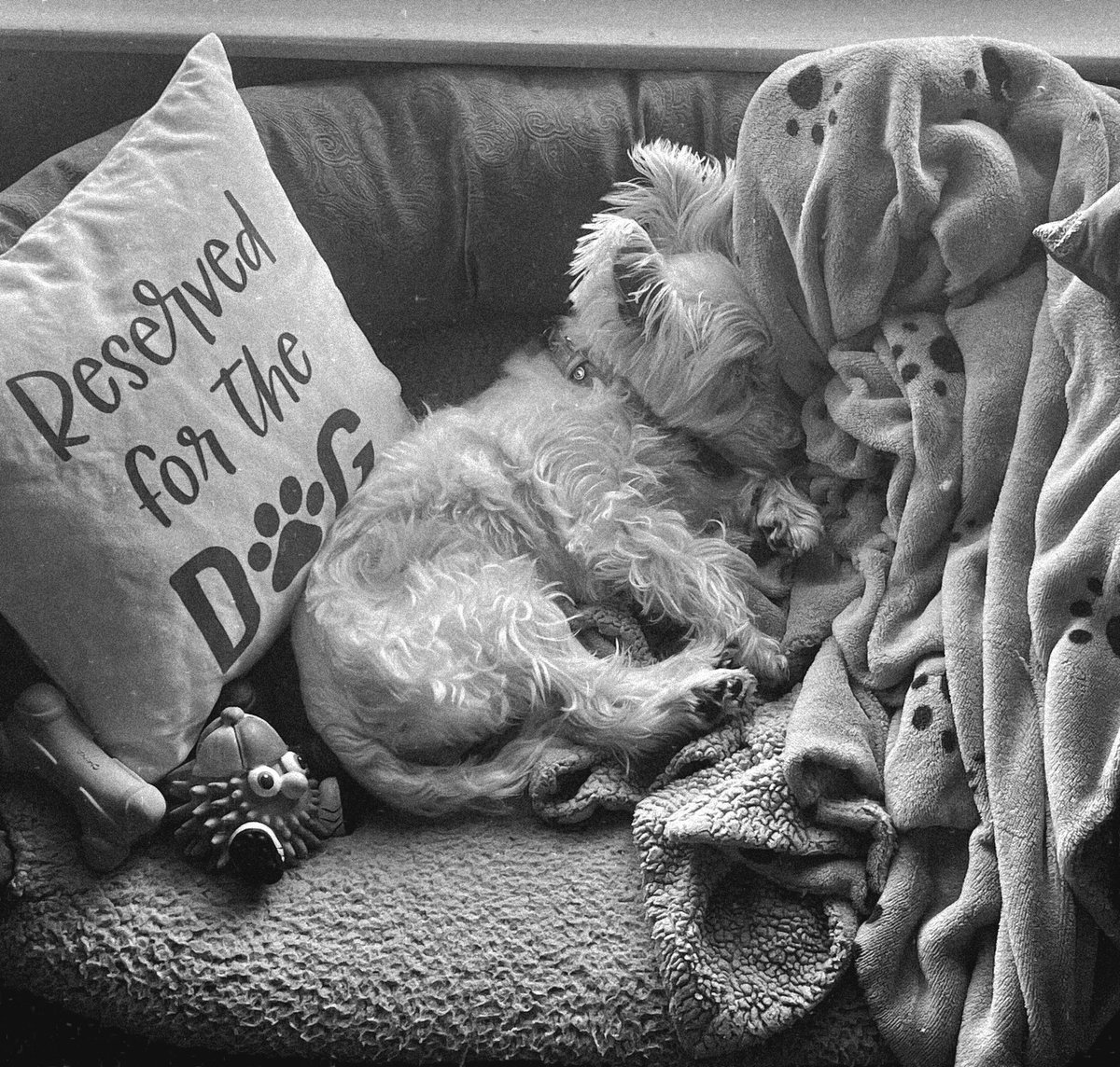 Brittany L. Johnson, MD 🧸🩺 tweet media