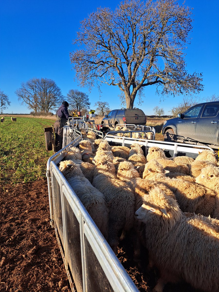 AdvisoryBlyth's tweet photo. Whilst travelling back from Wales I provided support for two more farmers. First visit to provide software support and training, second visit to help set up new equipment for weighing lambs. This visit was a part of the annual support package that I provide. #datamars #sheep https://t.co/e2fzqluaGf