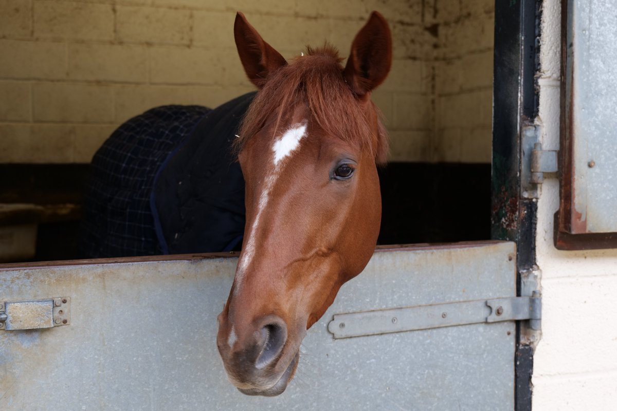 Ash Symonds Journalism tweet media