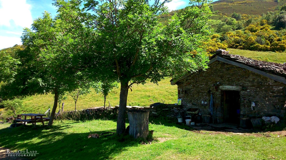 Ricardo_Laso's tweet photo. EL COPLE - #ElCople
COTO BELLO - #CotoBello
#ALLER #ASTURIAS https://t.co/y84bn6gwYm