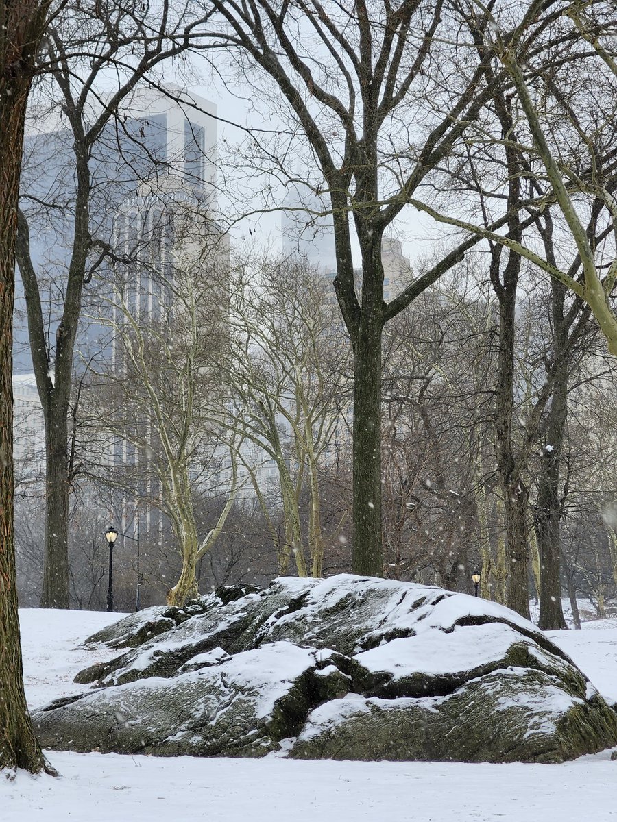AstroA19's tweet photo. Didn't snow much yesterday, but at least it looked nice! https://t.co/MJ9RThgyMz