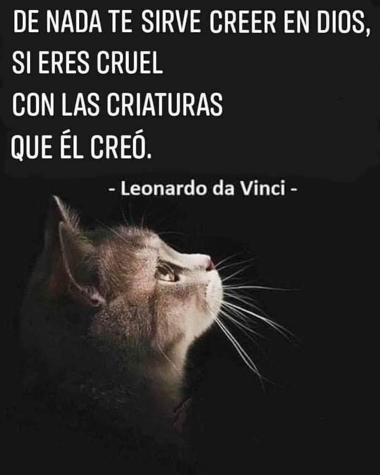 JoseFerreiraj94's tweet photo. https://t.co/GImf5QVRJ9