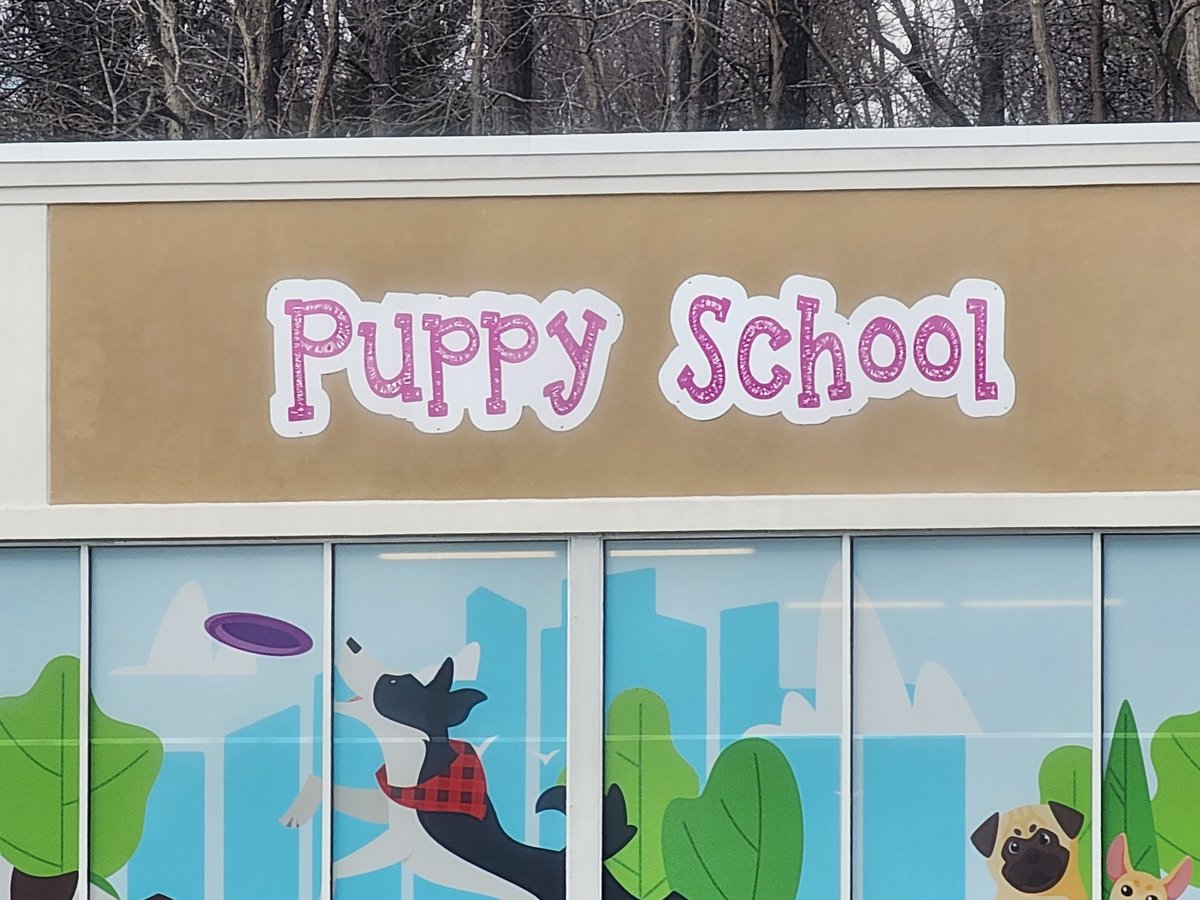 Who am I padding up and dropping off here uwu