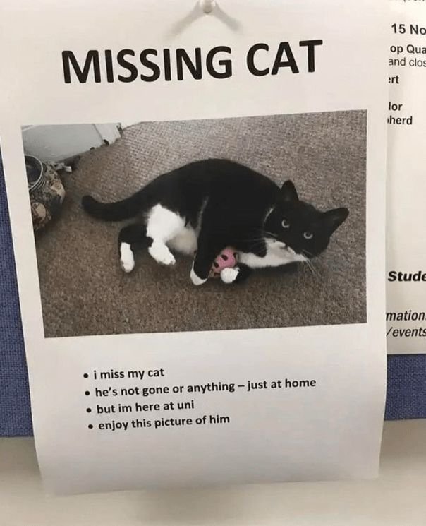 positive side of X 🌞 tweet media