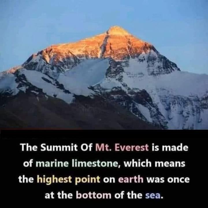 TRCGeographynow's tweet photo. I saw this and I thought of the geological carbon cycle and tectonic plate movement and folding 👀🤩 https://t.co/1x1K35xNlC