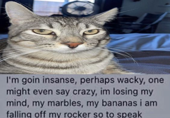 appa (@appaxbt) on Twitter photo 