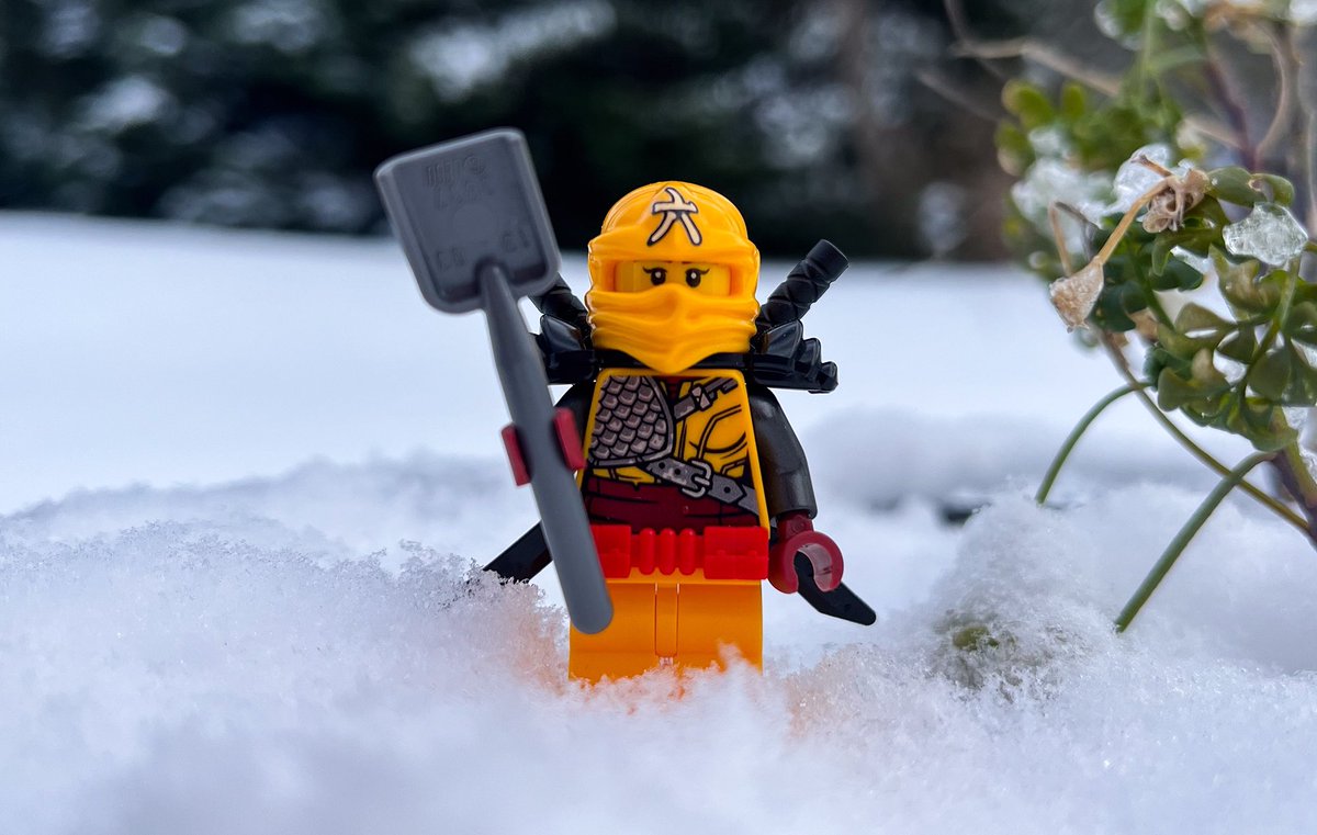 KevinElevinguy's tweet photo. Skylor is ready for the frosty lands ❄️ https://t.co/Xs2VGe6RHq