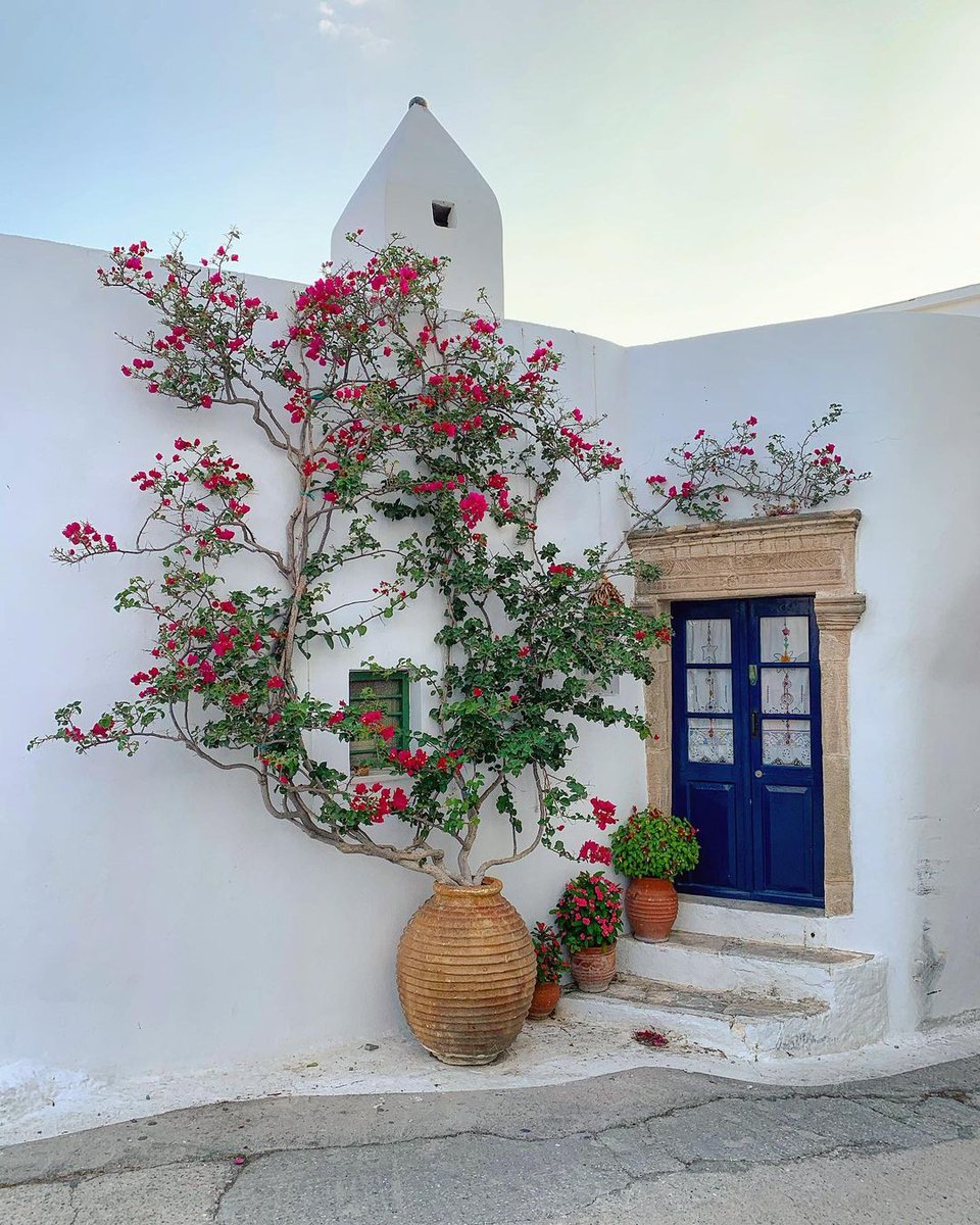 GreekPictures's tweet image. Blue doors and pink petals: a silent symphony of #Kythira.
📷 haris_nk