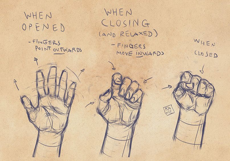 KameTheHermit's tweet photo. Quick tip from a while back for #LEARNUARY 

To keep in mind about how the fingers move when making a fist, hope it helps ✌️ https://t.co/yAQgojYdGe