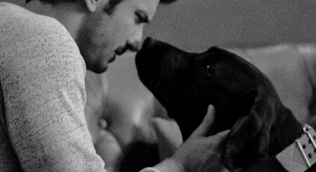 happy sushant day <3