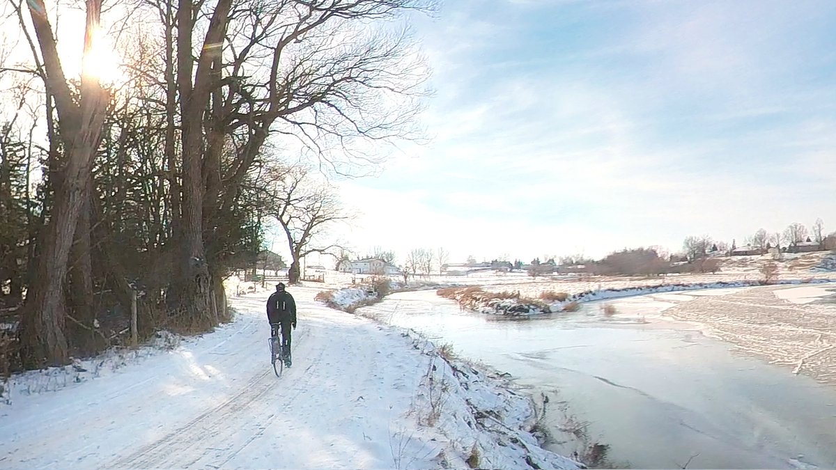 Joe Meissner tweet media