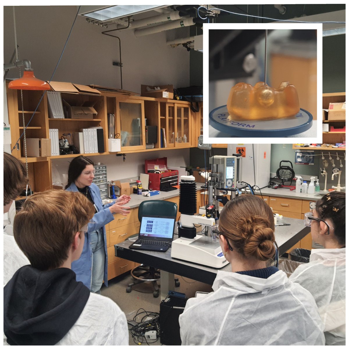 Another successful ASPIRE event at @UMassPSE! 🌟 The Crosby Group brought polymer science to life with a sweet twist—cavitation rheology using gummy bears! 🐻🧪 Inspiring the next generation of scientists and having fun doing it! 🚀 #ASPIRE #Outreach #PolymerScience