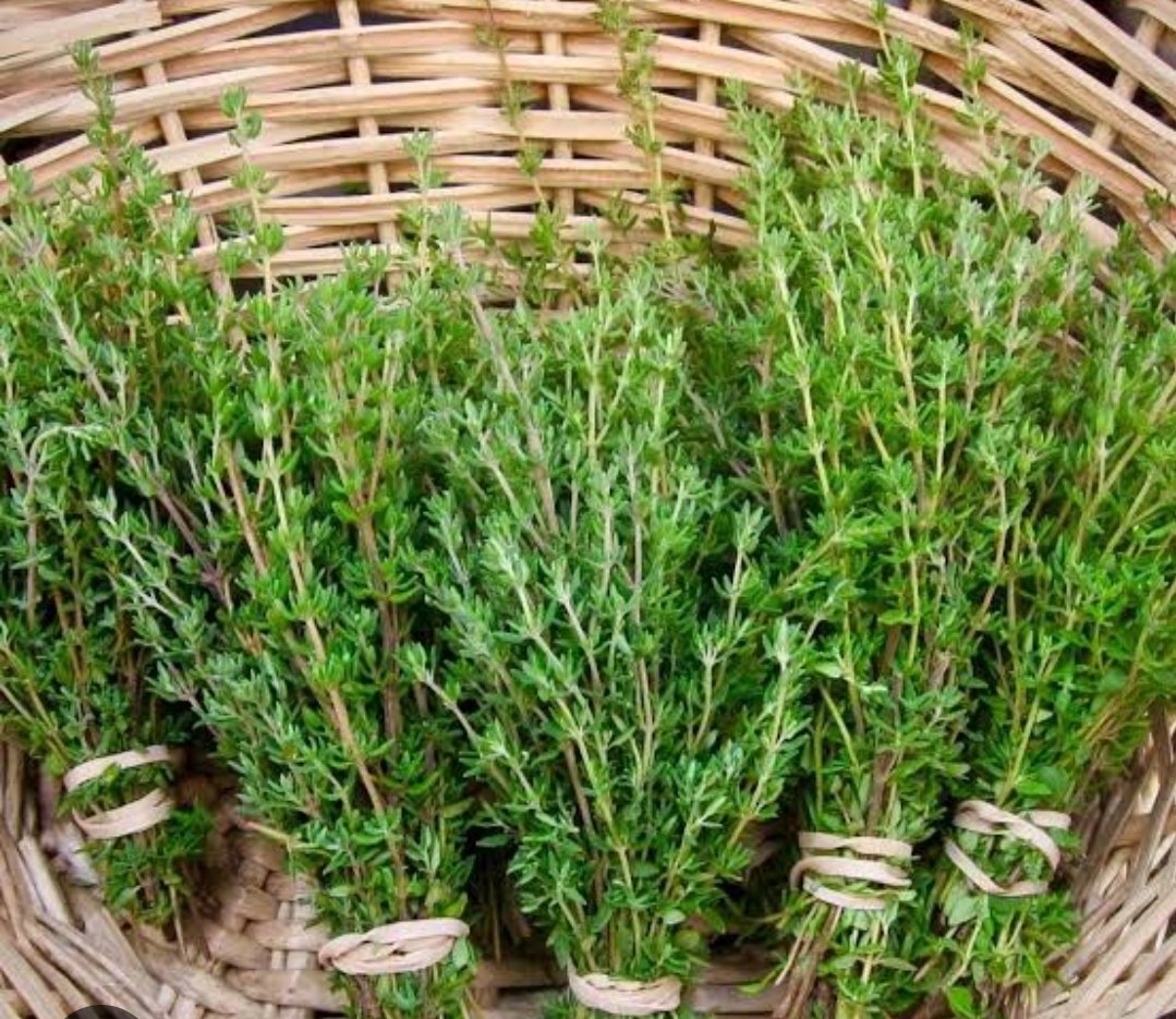 Zayıflatan mucize
#kadın #kilo #güzellik
Kekik çayı tüketimi vücuttan toksinlerin atılmasını sağlayarak metabolizma hızını artırır ve vücudu dinçleştirerek zayıflamaya yardımcı olur.