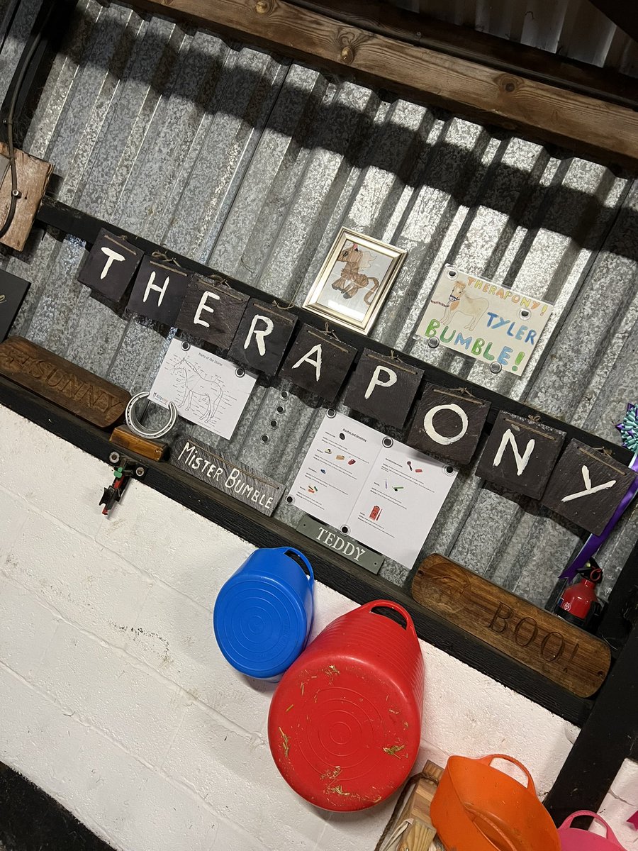 At Therapony you never know who you will see. It’s a safe space, an outdoor haven which is accessible to all. Follow us on facebook facebook.com/theraponyey 🥰🐴❤️ therapony.net