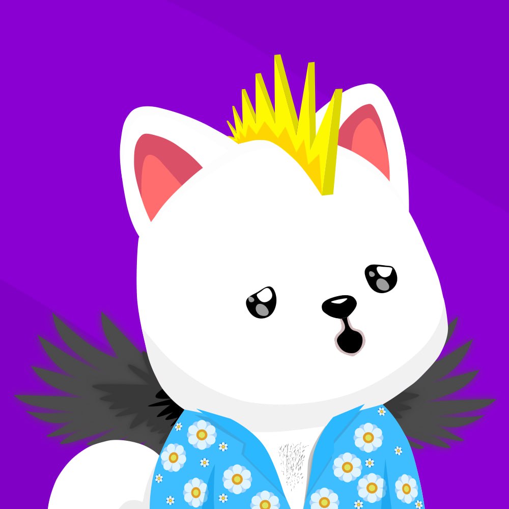 kishusol's tweet photo. Just to remind you, we are just getting started!

$Kishu on $Sol will rise 🐶🚀

#Kishu #Sol https://t.co/UEA6KnGFyf