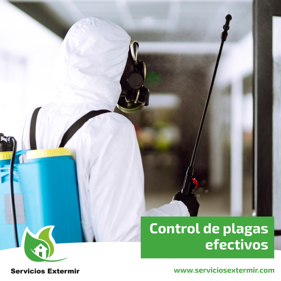 SExtermir's tweet image. Más de una década trabajando en el sector del control de plagas 🪳 nos respaldan.

Entendemos las necesidades de nuestros clientes ✅ y desarrollamos los tratamientos más convenientes según la plaga.

👉🏻 ¡Conócenos!
serviciosextermir.com