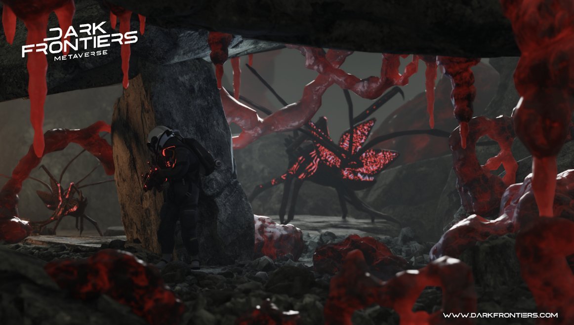 Elena🌸 tweet media