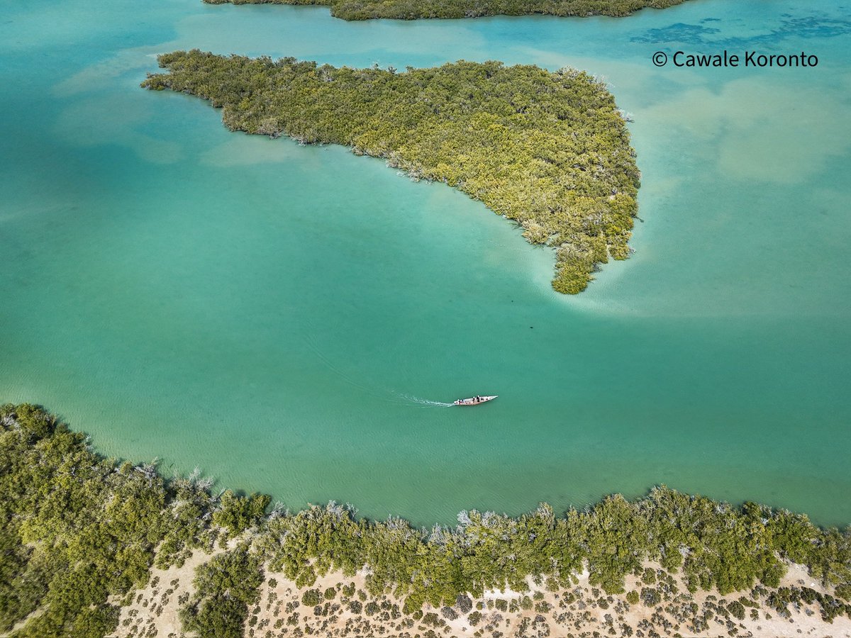 CawaaleKoronto's tweet photo. Caluula, Bari, Puntland, Somalia.
#Caluula #Somalia https://t.co/G4dBMI2MBh