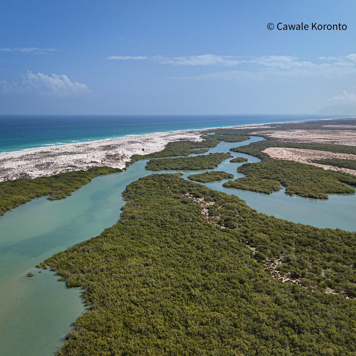 Caluula, Bari, Puntland, Somalia.
#Caluula #Somalia
