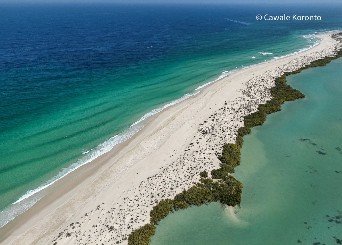 CawaaleKoronto's tweet photo. Caluula, Bari, Puntland, Somalia.
#Caluula #Somalia https://t.co/G4dBMI2MBh
