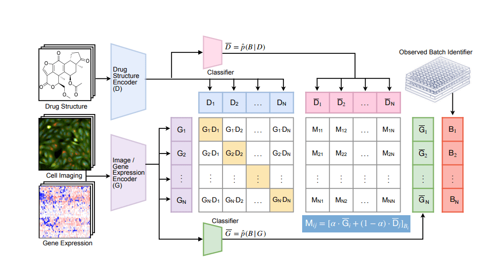 MultiplatformAI's tweet photo. MIT Researchers Unveil InfoCORE: Transforming High-Throughput Drug Screening with Multimodal Learning

#AI #artificialintelligence #batcheffects #biologicalsystems #Biotechnology #cellmicroscopeimages #chemicalstructure #datadistribution #drugdiscovery

https://t.co/P1zYWFGtel https://t.co/BBYGJ8OrQ5
