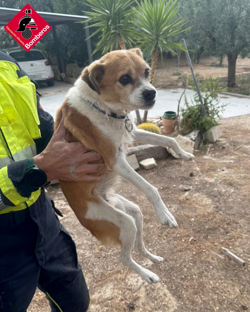 Consorcio Provincial Bomberos Alicante tweet media