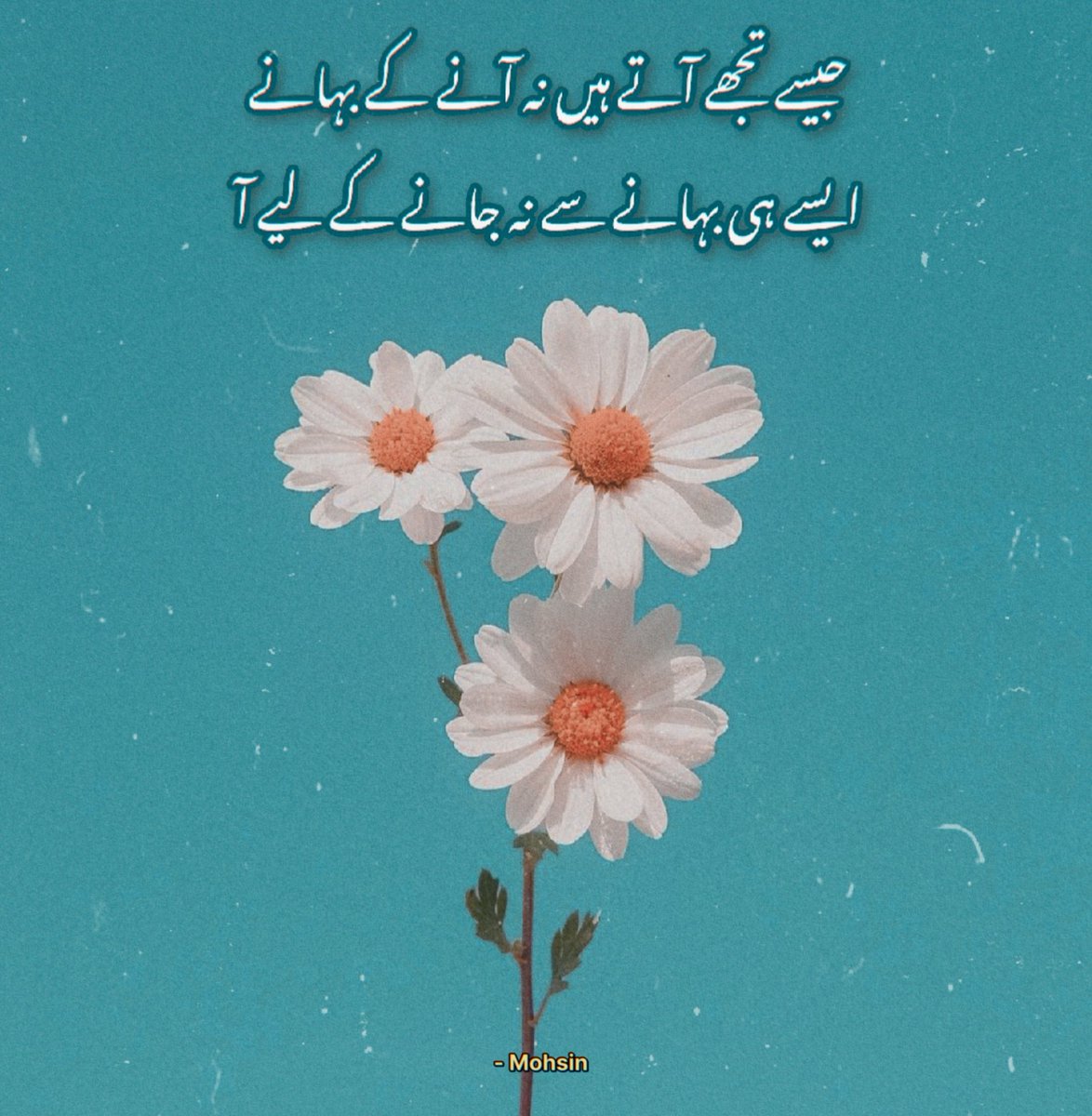 UghMohsin's tweet photo. https://t.co/dKBEaMIYKA