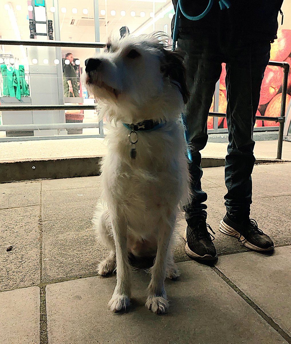 ForestHthPolice's tweet photo. Early evening foot patrol around Elizabeth Parade and Churchill Avenue #Newmarket speaking to shop staff and customers, the friendliest being Buddy aged 5 years.
#PC1505
#PS1982 https://t.co/74EBQjSKqo