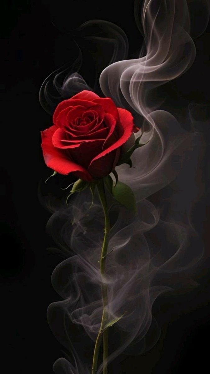 paw_space's tweet image. “It is her love that has healed me and sealed me in this world, forevermore”~Ocean