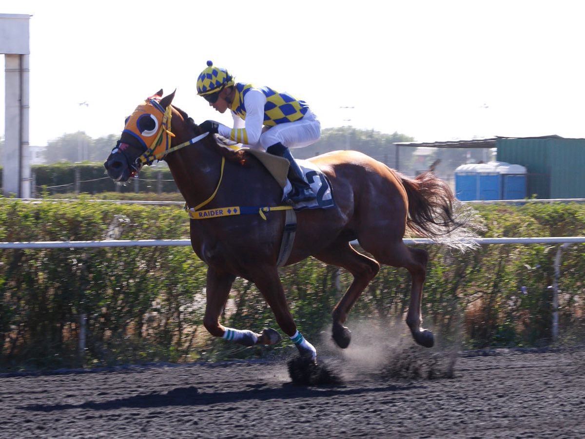 luis_rojas89's tweet photo. Ante todo debo darles las gracias a dios todo poderoso en la 2semana de mi regreso a la pista ya sumo mi primer clásico handicap libre uno más en mi carrera gracias señor por tu bendición y gracias a todo los que me apoyaron en el momento de la tormenta 🇻🇪👏🏻vamos pa encima 💪🏻 https://t.co/faPCHzLI2n