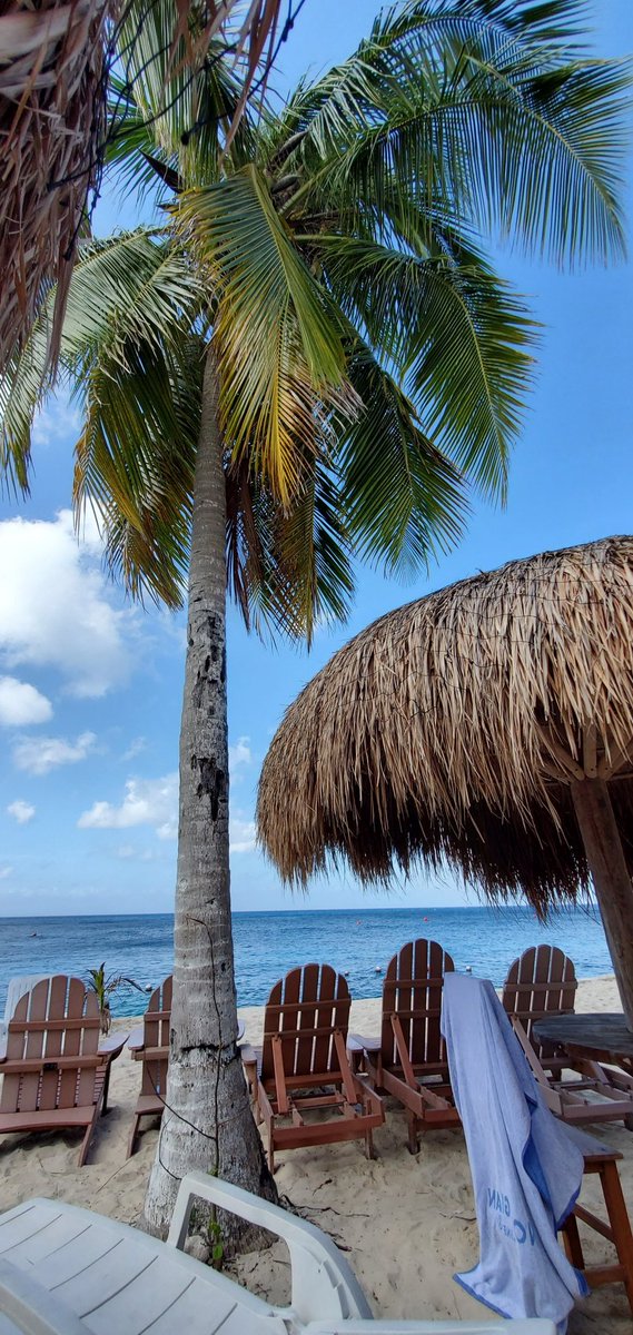 FlinskyJack's tweet photo. Sure was a great getaway!
#GrandCaymen, #Jamaica, #Cozumel https://t.co/FGGlMOy9R4