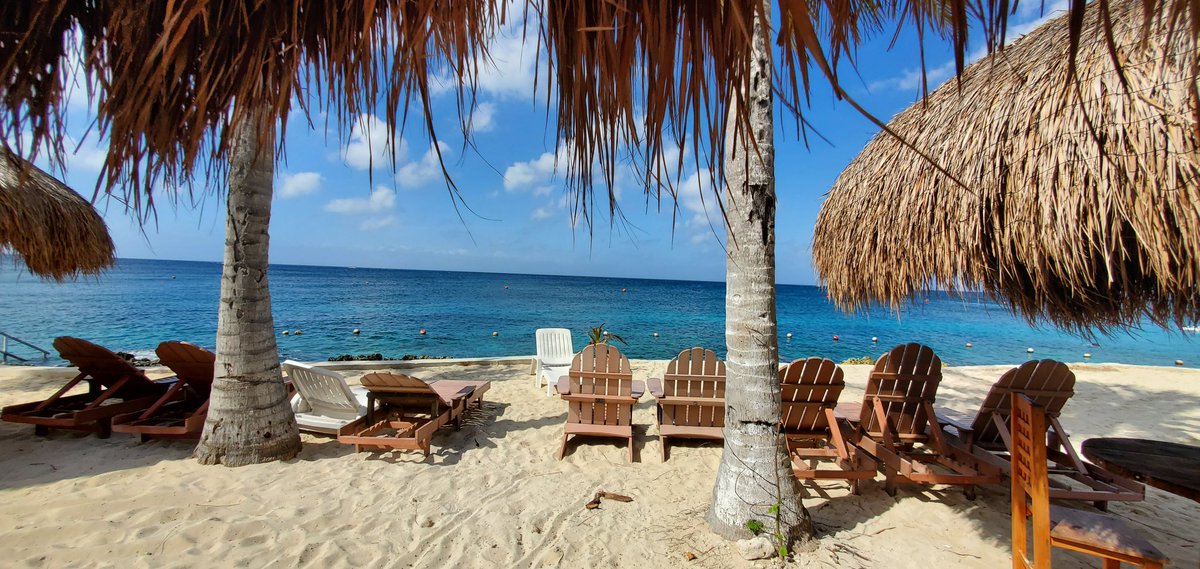 FlinskyJack's tweet photo. Sure was a great getaway!
#GrandCaymen, #Jamaica, #Cozumel https://t.co/FGGlMOy9R4