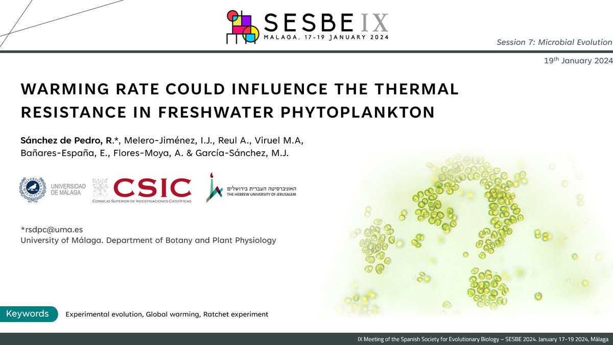 motherofseaweed's tweet photo. There we shared the latest work of EXPEVOGEN-CG project, on the rapid evolutionary responses of phytoplanktonic model species to global warming #experimentalevolution #microalgae #algae #cianobacteria #warming https://t.co/xBCdfqltiQ