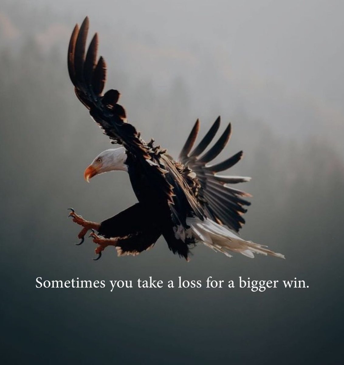 Founder Archive tweet media