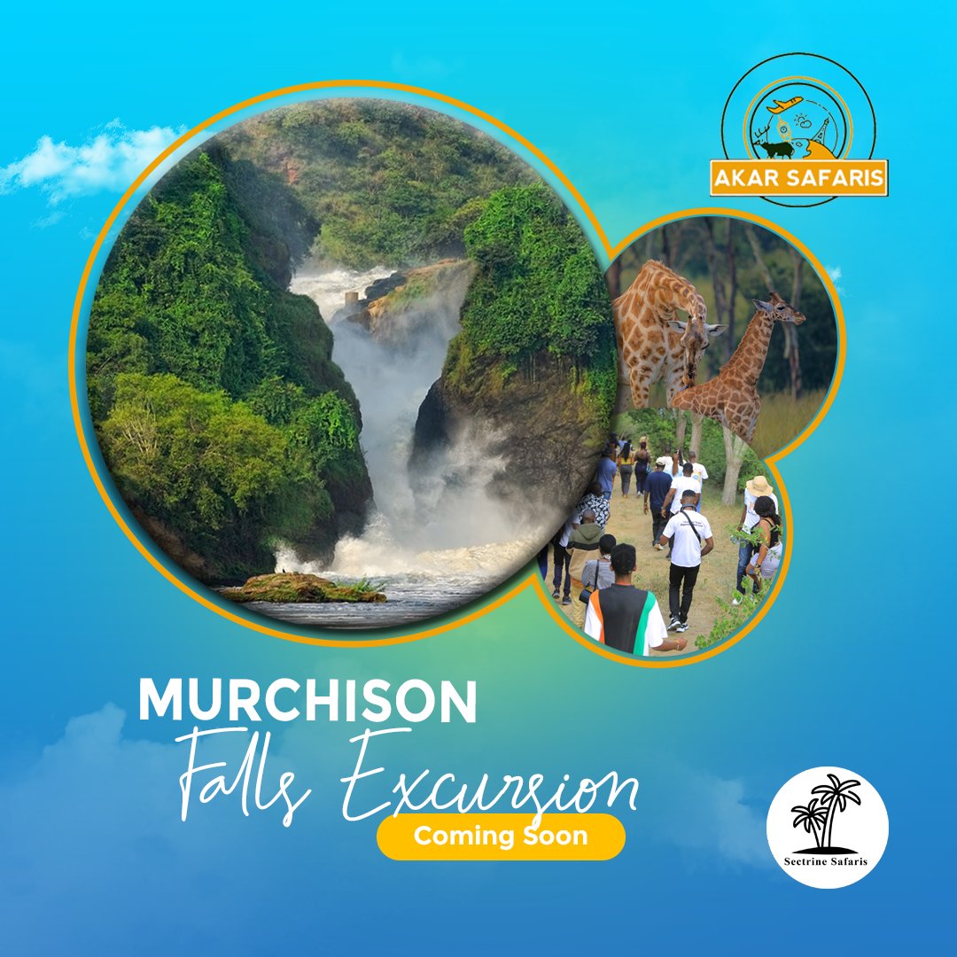 AkarSafaris's tweet photo. After careful consideration by our team, as we eagerly anticipate engaging in #ExploreBusoga, the management has decided that our next domestic exploration will be a trip to Murchison Falls National Park.

Coming soon: #MurchisonFallsExcursion
@marvinmiles256 | @kyeruphiona https://t.co/RQwF9Ze3Kv
