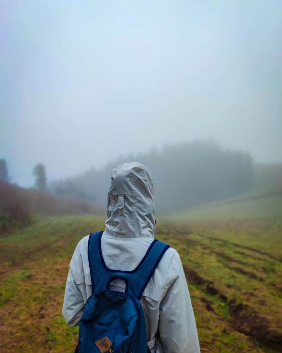 Paseo entre la niebla. El norte de Gran Canaria es un precioso manto verde 💚