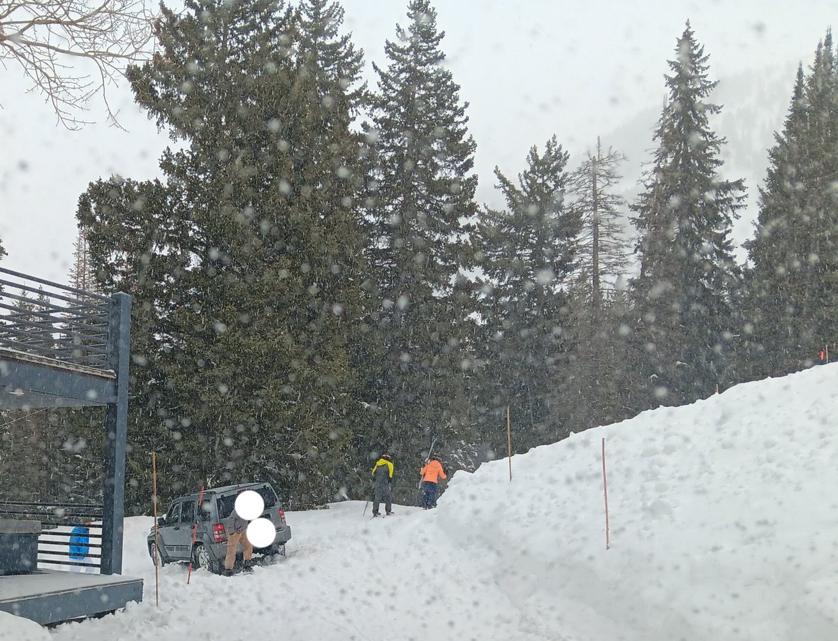 Happens up here more than you might think... Driving APP says there's a road where there really isn't.
If you're not seeing Subarus and Tacomas going by, it might be a ski run.