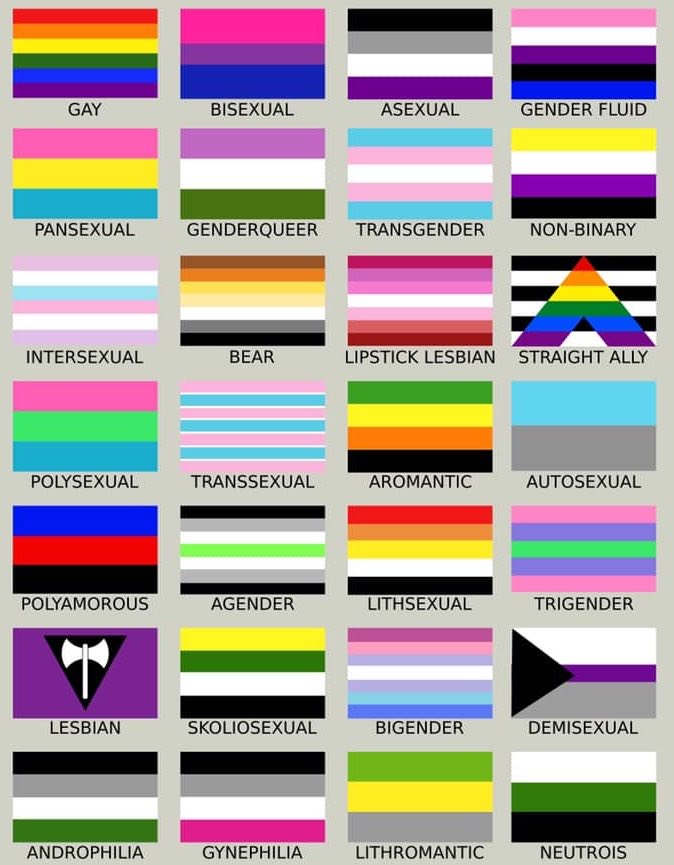Tantas banderas para terminar siendo hombre o mujer. Lo demás es desorden mental.
