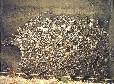 Deposit of remains from the Crow Creek Massacre, in present day South Dakota. Dated to about 1350, this deposit of at least 486 victims - men, women, and children - represents the largest pre-Columbian massacre with an archaeological record. Virtually all the victims were scalped