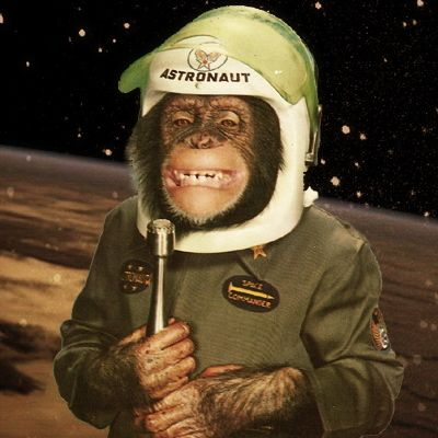 astrochimpsol's tweet photo. DEVS ARE MAKING ADJUSTMENTS TO THE TRAJECTORY, MOON MISSION IS GOING ACCORDING TO PLAN, ENTERING RETROGRADE SOON TO STABILISE FLIGHT PATH INTO SECURE ORBIT.
Pictured below: Celestial Hodlers in Interstellar Mission Projects (C.H.I.M.P) leader giving interview. 
"WE SEND IT!" https://t.co/4NrXBdRMXr